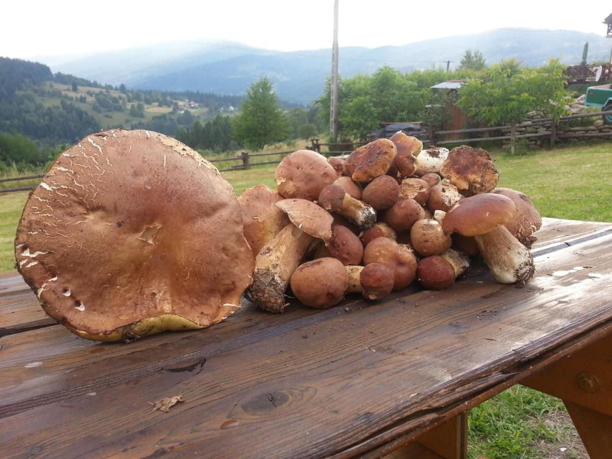 Babia * Zawoja