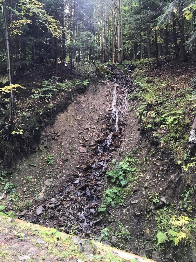 Babia Domek alpejski Zawoja